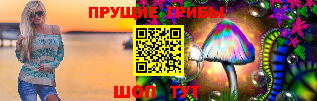 Псилоцибиновые грибы Psilocybe Павлово
