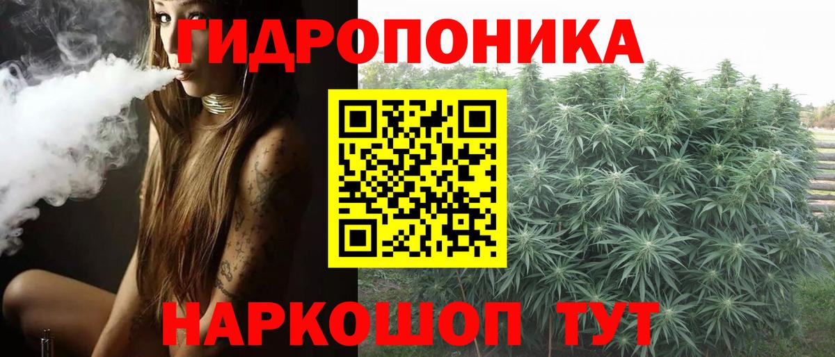 Шишки марихуана марихуана Павлово